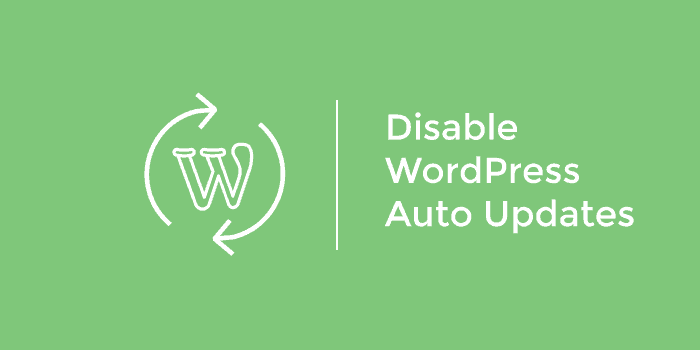 غیرفعال کردن آپدیت خودکار در وردپرس
